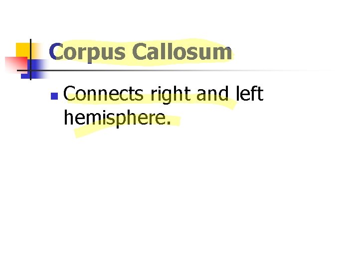 Corpus Callosum n Connects right and left hemisphere. 