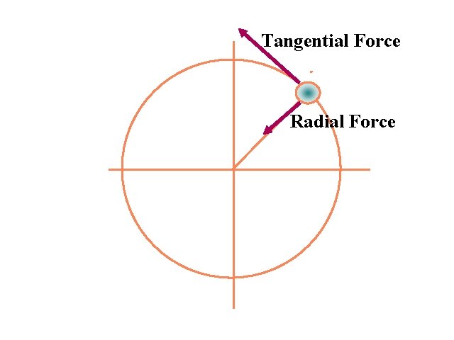 Tangential Force Radial Force 