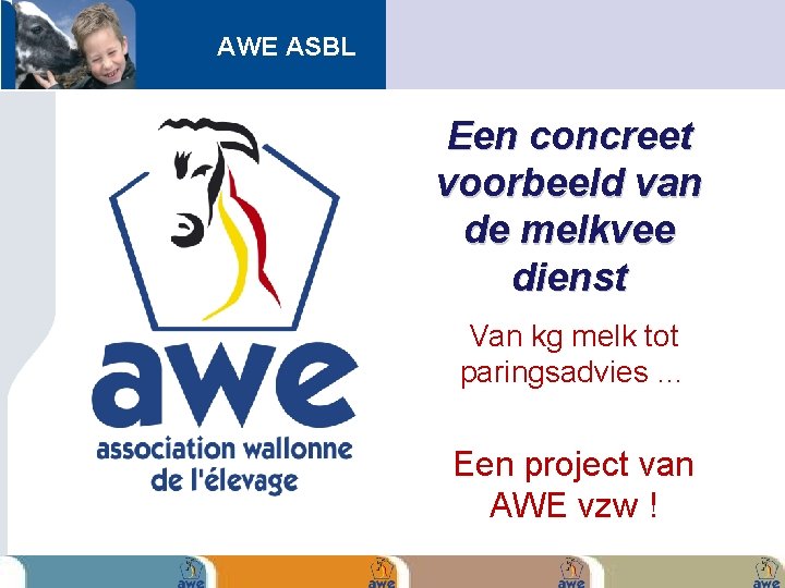 AWE ASBL Een concreet voorbeeld van de melkvee dienst Van kg melk tot paringsadvies