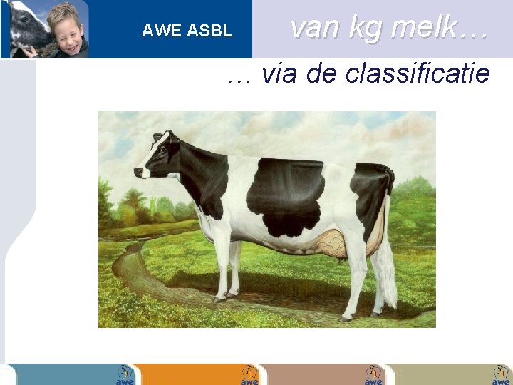 AWE ASBL van kg melk… … via de classificatie 