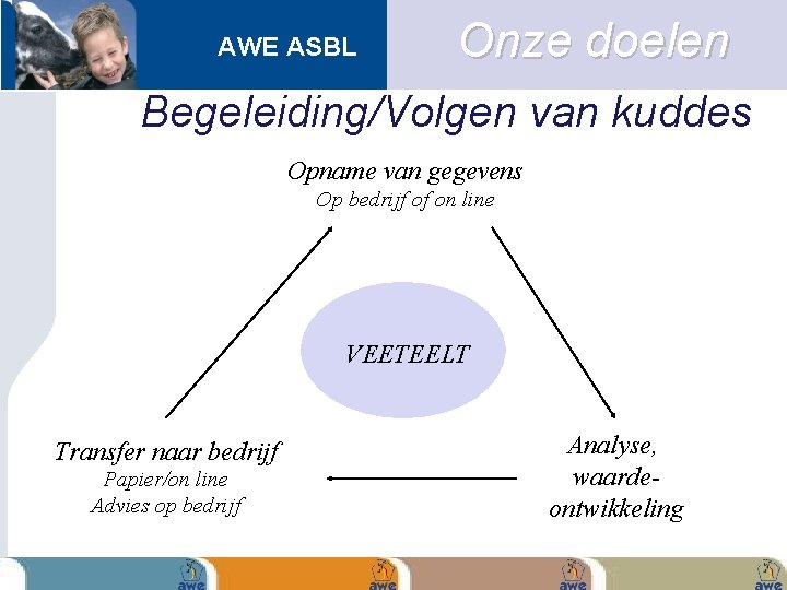 AWE ASBL Onze doelen Begeleiding/Volgen van kuddes Opname van gegevens Op bedrijf of on