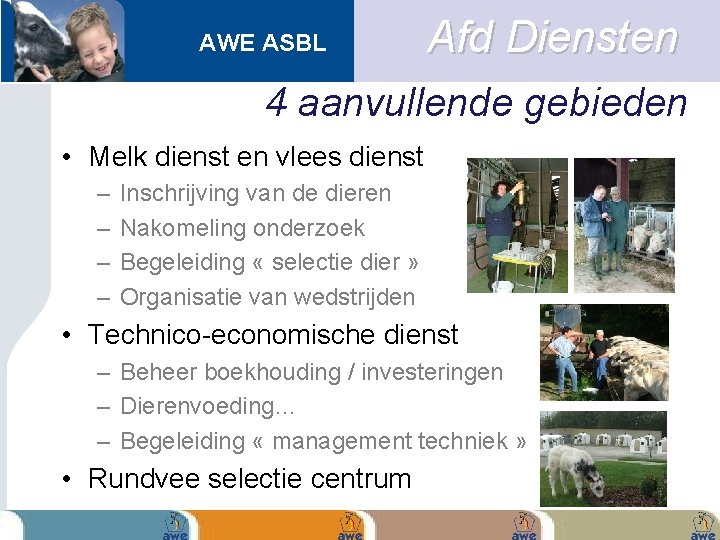 AWE ASBL Afd Diensten 4 aanvullende gebieden • Melk dienst en vlees dienst –