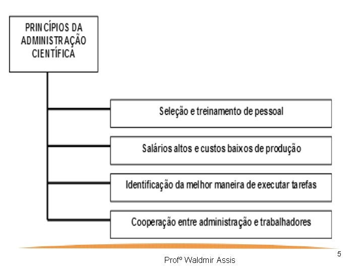 Profº Waldmir Assis 5 