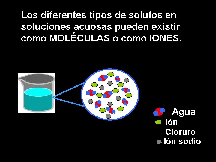 Los diferentes tipos de solutos en soluciones acuosas pueden existir como MOLÉCULAS o como