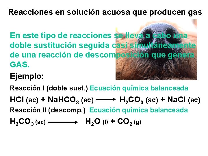 Reacciones en solución acuosa que producen gas En este tipo de reacciones se lleva