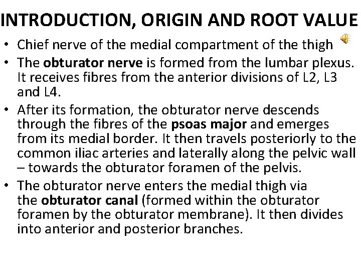 INTRODUCTION, ORIGIN AND ROOT VALUE • Chief nerve of the medial compartment of the