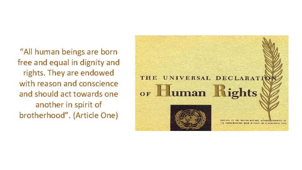 “All human beings are born free and equal in dignity and rights. They are