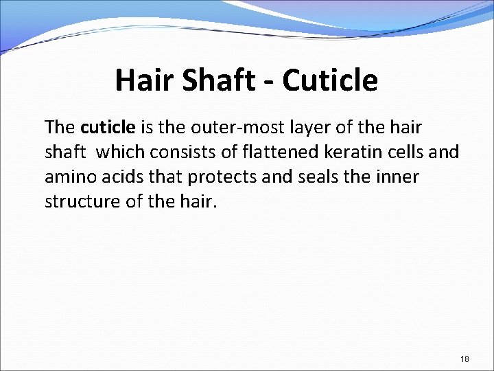 Hair Shaft - Cuticle The cuticle is the outer-most layer of the hair shaft