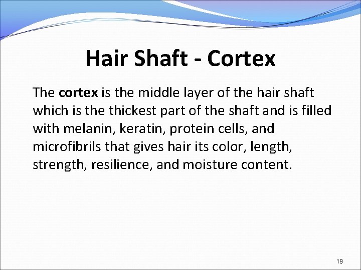 Hair Shaft - Cortex The cortex is the middle layer of the hair shaft