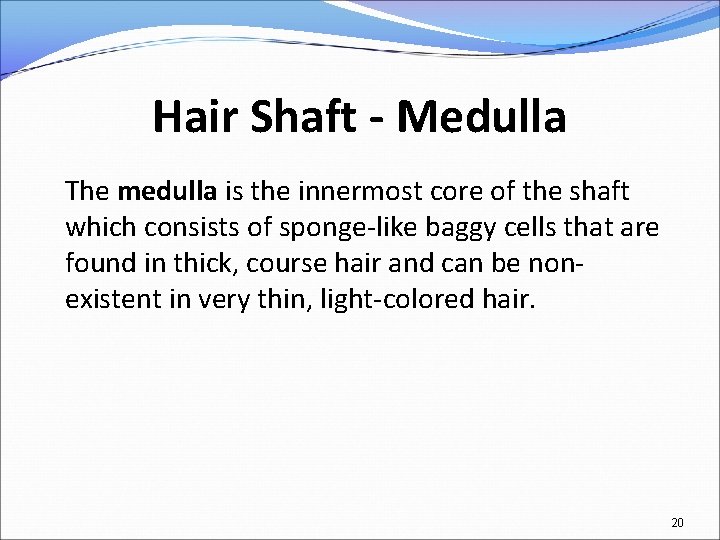 Hair Shaft - Medulla The medulla is the innermost core of the shaft which