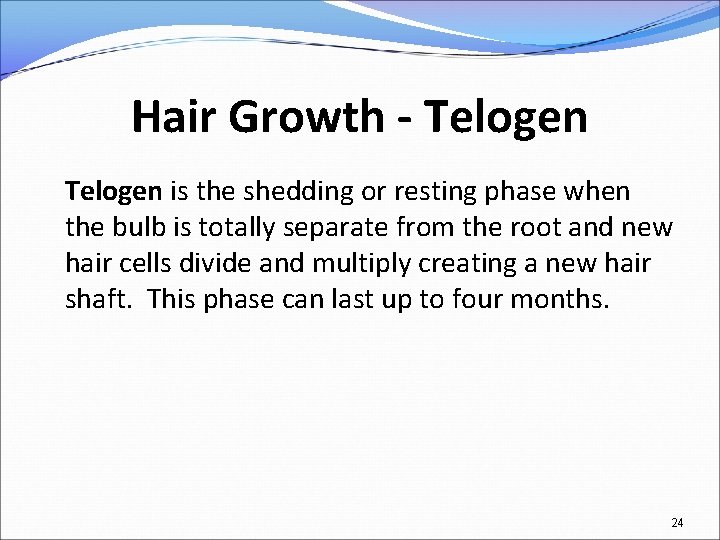 Hair Growth - Telogen is the shedding or resting phase when the bulb is