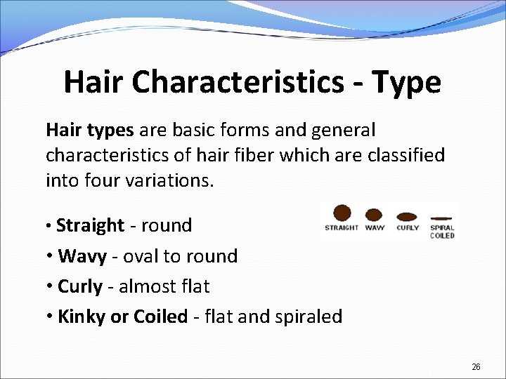 Hair Characteristics - Type Hair types are basic forms and general characteristics of hair