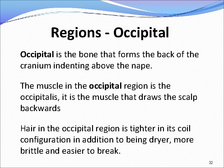 Regions - Occipital is the bone that forms the back of the cranium indenting