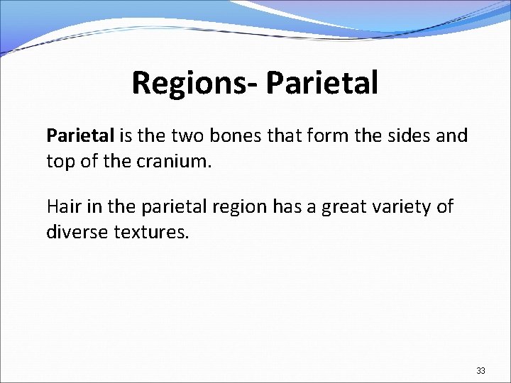 Regions- Parietal is the two bones that form the sides and top of the