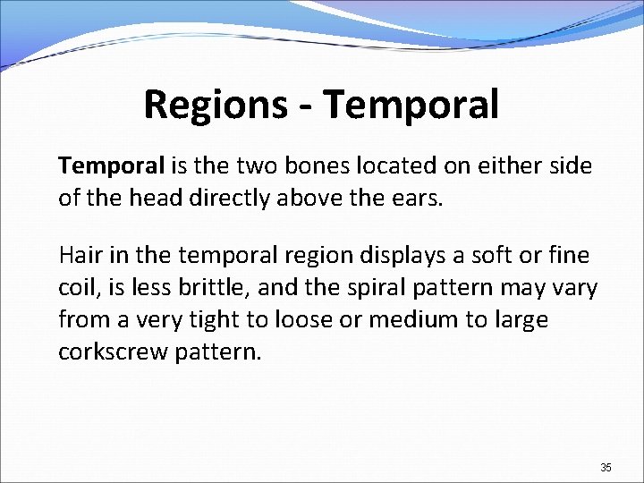 Regions - Temporal is the two bones located on either side of the head