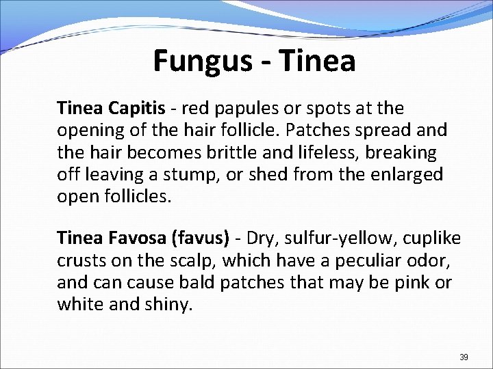 Fungus - Tinea Capitis - red papules or spots at the opening of the