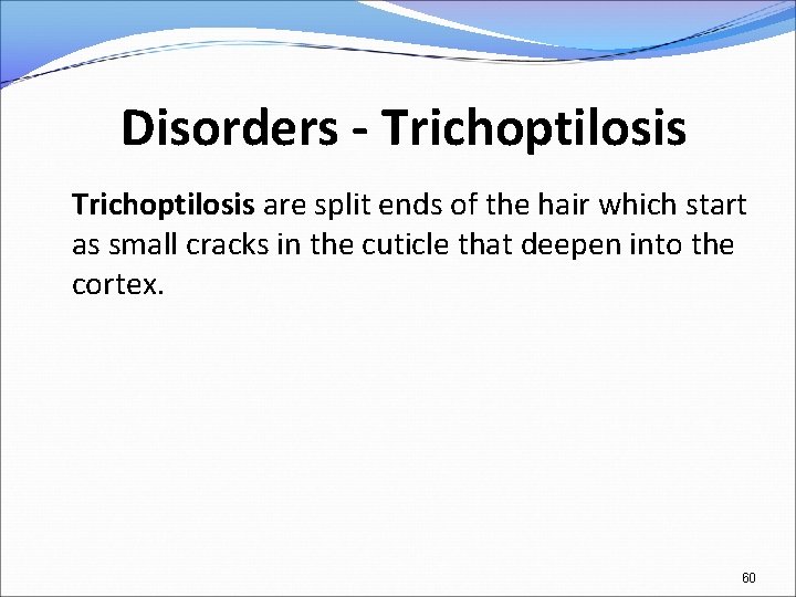 Disorders - Trichoptilosis are split ends of the hair which start as small cracks