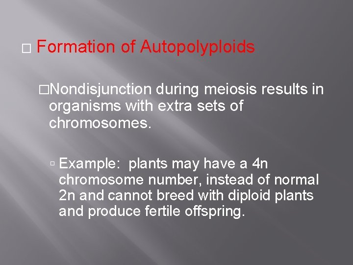� Formation of Autopolyploids �Nondisjunction during meiosis results in organisms with extra sets of