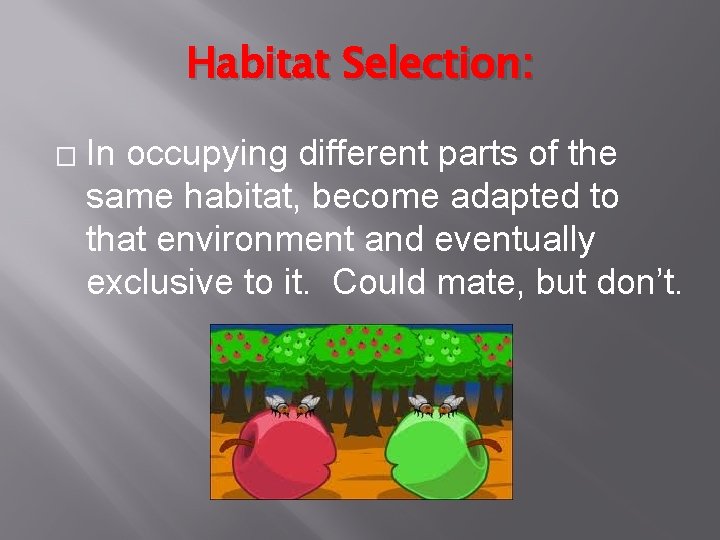 Habitat Selection: � In occupying different parts of the same habitat, become adapted to