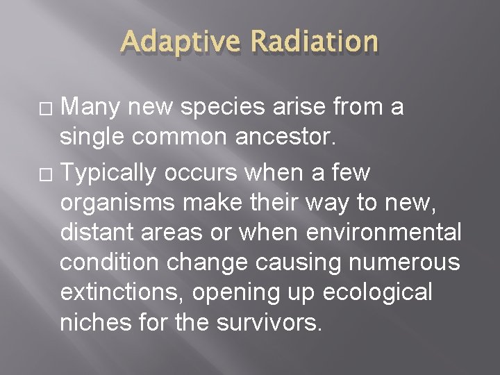 Adaptive Radiation Many new species arise from a single common ancestor. � Typically occurs