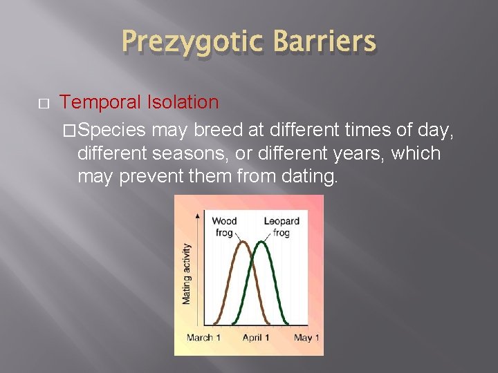 Prezygotic Barriers � Temporal Isolation �Species may breed at different times of day, different