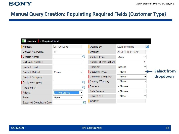 Sony Global Business Services, Inc. Manual Query Creation: Populating Required Fields (Customer Type) Select