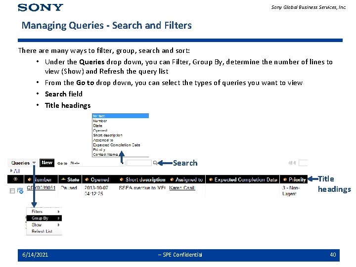 Sony Global Business Services, Inc. Managing Queries - Search and Filters There are many