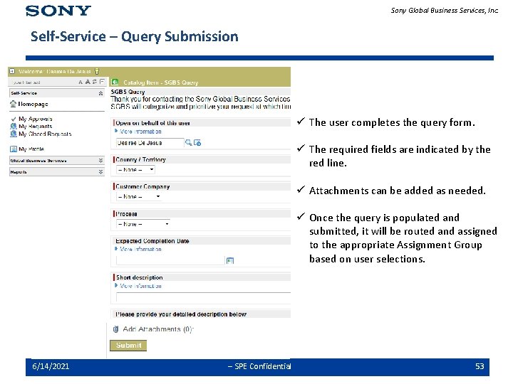 Sony Global Business Services, Inc. Self-Service – Query Submission ü The user completes the