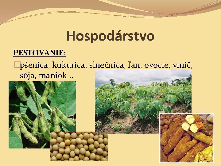 Hospodárstvo PESTOVANIE: �pšenica, kukurica, slnečnica, ľan, ovocie, vinič, sója, maniok. . 