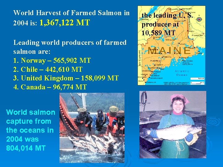World Harvest of Farmed Salmon in 2004 is: 1, 367, 122 MT Leading world