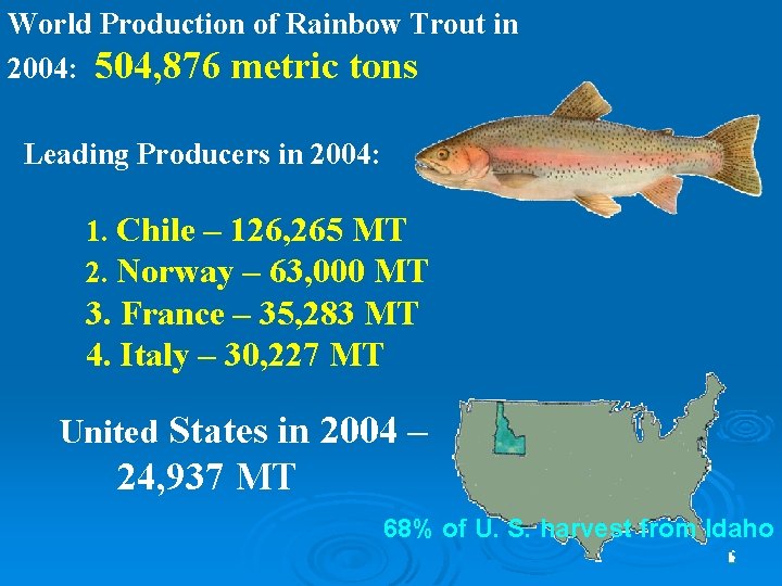 World Production of Rainbow Trout in 2004: 504, 876 metric tons Leading Producers in