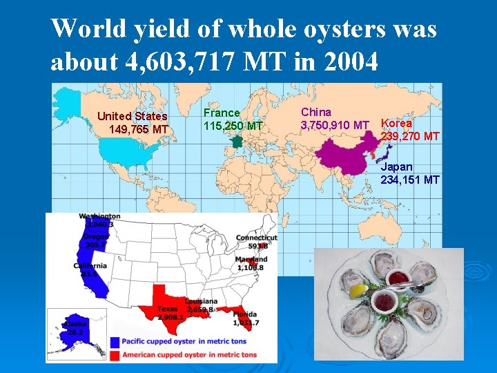World yield of whole oysters was about 4, 603, 717 MT in 2004 United
