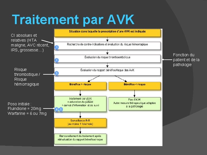 Traitement par AVK CI absolues et relatives (HTA maligne, AVC récent, IRS, grossesse…) Fonction