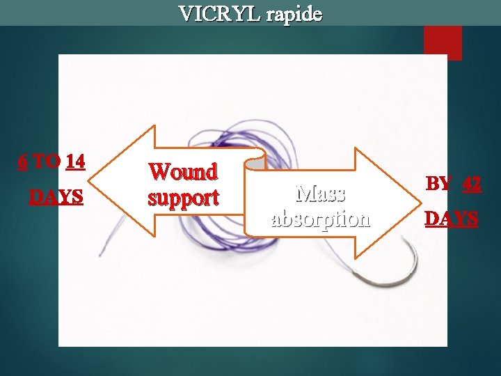 VICRYL rapide 6 TO 14 DAYS Wound support Mass absorption BY 42 DAYS 
