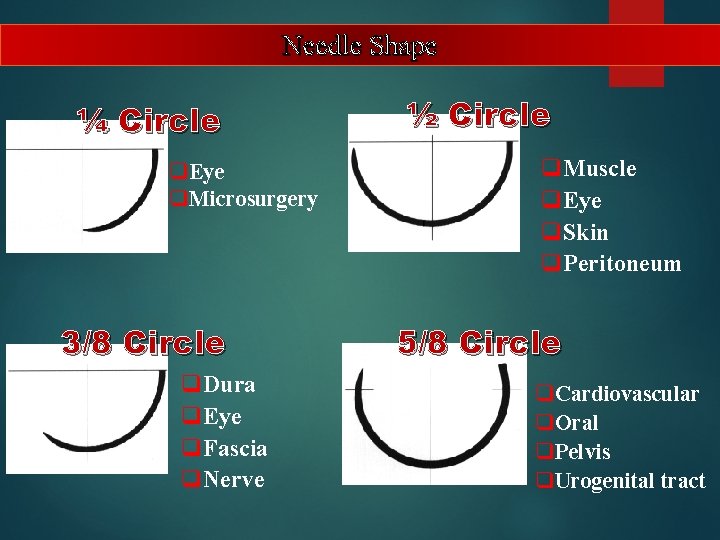 Needle Shape ¼ Circle q. Eye q. Microsurgery 3/8 Circle q. Dura q. Eye