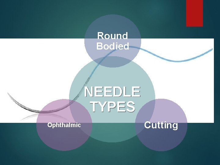 Round Bodied NEEDLE TYPES Ophthalmic Cutting 