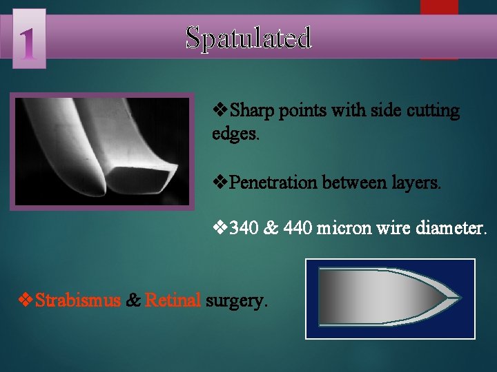 Spatulated v. Sharp points with side cutting edges. v. Penetration between layers. v 340