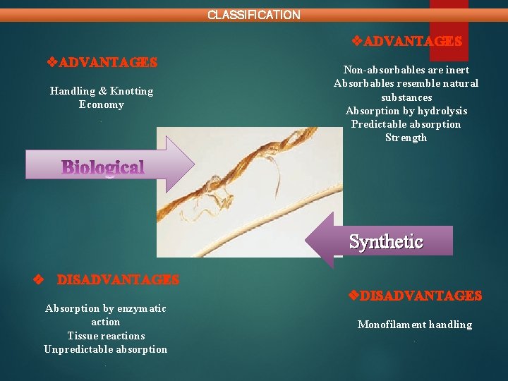 CLASSIFICATION v. ADVANTAGES Handling & Knotting Economy. Non-absorbables are inert Absorbables resemble natural substances