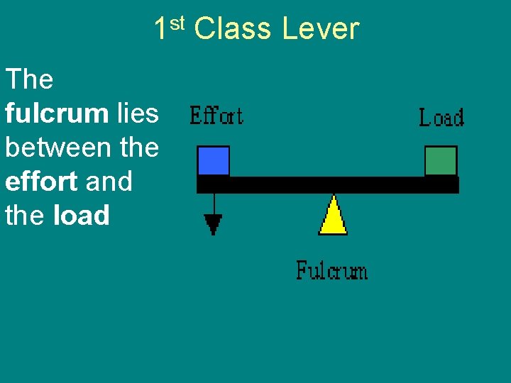 1 st Class Lever The fulcrum lies between the effort and the load 1 st Class Lever The fulcrum lies between the effort and the load