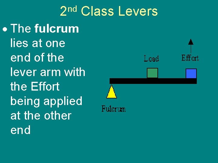 nd 2 Class Levers The fulcrum lies at one end of the lever arm nd 2 Class Levers The fulcrum lies at one end of the lever arm