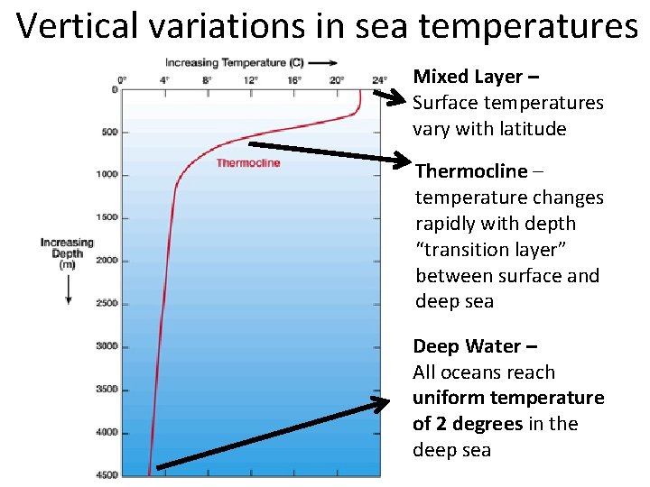Vertical variations in sea temperatures Mixed Layer – Surface temperatures vary with latitude Thermocline