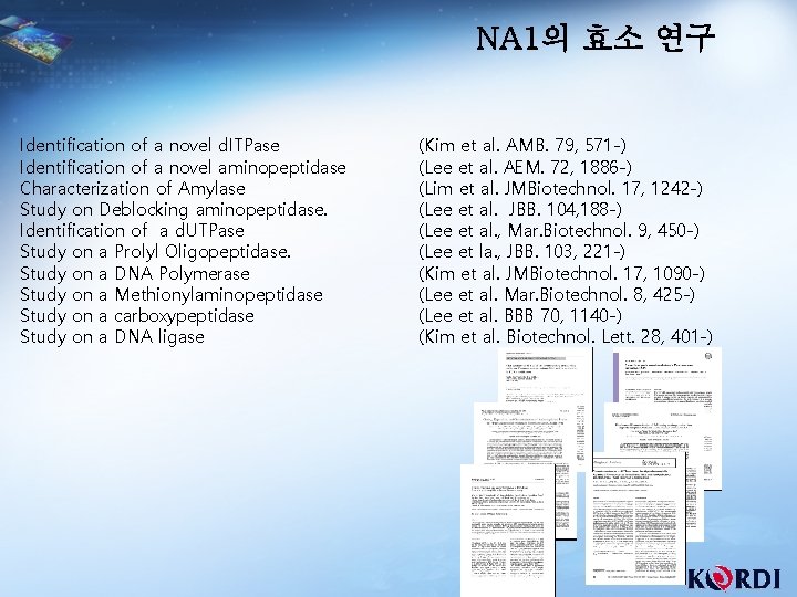NA 1의 효소 연구 Identification of a novel d. ITPase Identification of a novel