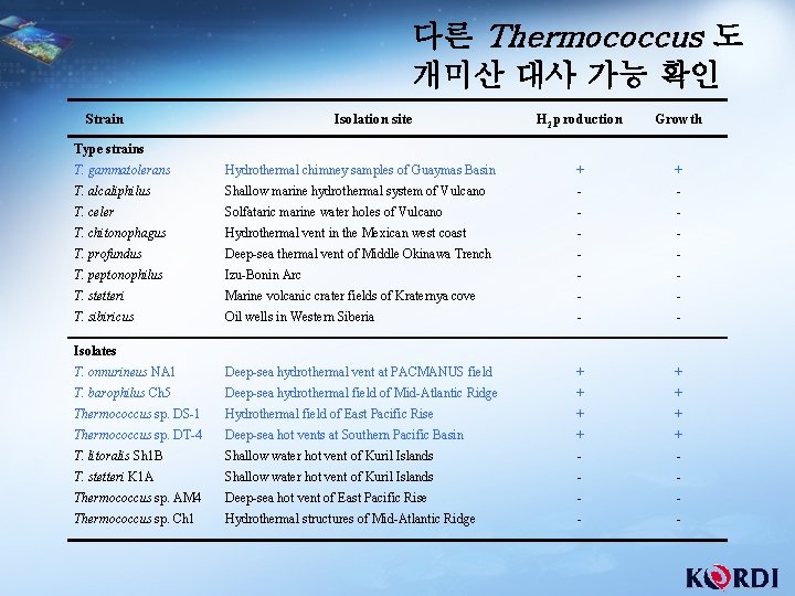 다른 Thermococcus 도 개미산 대사 가능 확인 Strain Isolation site H 2 production Growth