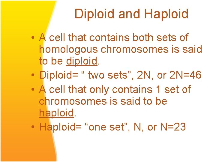 Diploid and Haploid • A cell that contains both sets of homologous chromosomes is