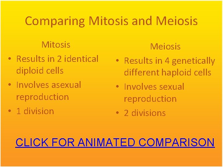 Comparing Mitosis and Meiosis Mitosis • Results in 2 identical diploid cells • Involves