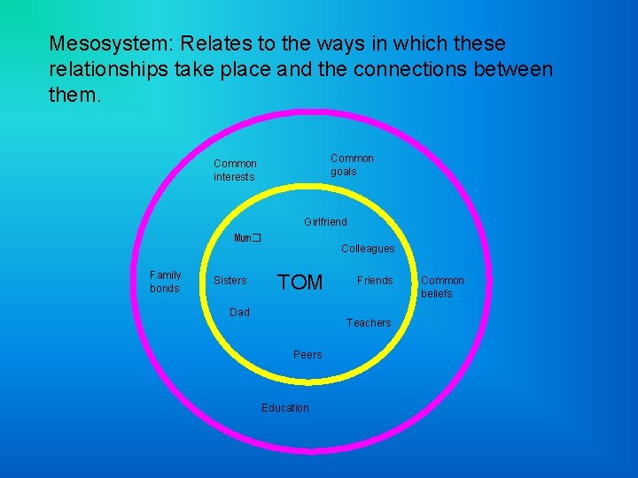Mesosystem: Relates to the ways in which these relationships take place and the connections