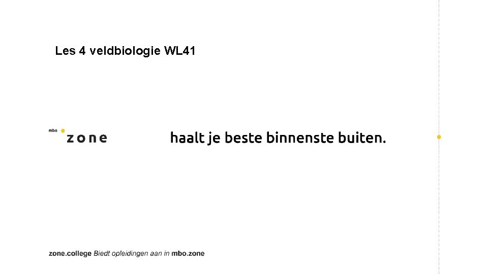 Les 4 veldbiologie WL 41 