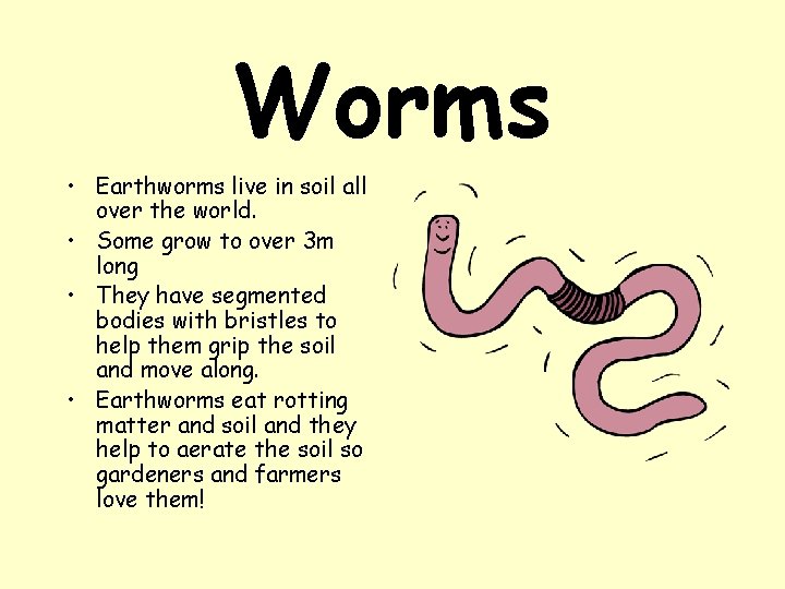 Worms • Earthworms live in soil all over the world. • Some grow to