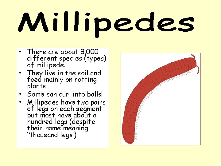  • There about 8, 000 different species (types) of millipede. • They live