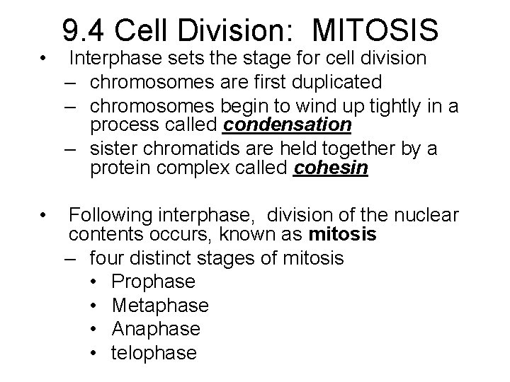  • • 9. 4 Cell Division: MITOSIS Interphase sets the stage for cell